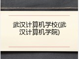 武汉计算机学校(武汉计算机学院)