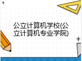 公立计算机学校(公立计算机专业学院)