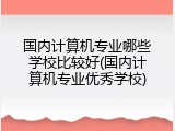 国内计算机专业哪些学校比较好(国内计算机专业优秀学校)