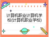 计算机职业计算机学校(计算机职业学校)