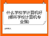 什么学校学计算机好(哪所学校计算机专业强)