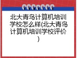 北大青鸟计算机培训学校怎么样(北大青鸟计算机培训学校评价)