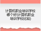 计算机职业培训学校哪个好(计算机职业培训学校比较)
