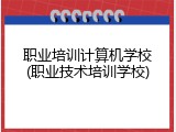 职业培训计算机学校(职业技术培训学校)