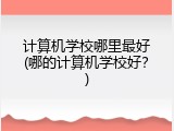 计算机学校哪里最好(哪的计算机学校好？)