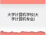 大学计算机学校(大学计算机专业)