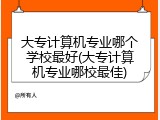 大专计算机专业哪个学校最好(大专计算机专业哪校最佳)