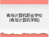 青鸟计算机职业学校(青鸟计算机学院)