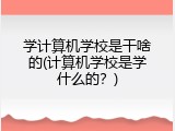 学计算机学校是干啥的(计算机学校是学什么的？)