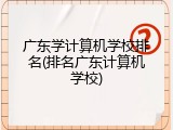 广东学计算机学校排名(排名广东计算机学校)