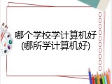 哪个学校学计算机好(哪所学计算机好)