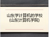 山东学计算机的学校(山东计算机学院)