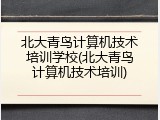 北大青鸟计算机技术培训学校(北大青鸟计算机技术培训)