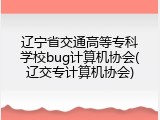 辽宁省交通高等专科学校bug计算机协会(辽交专计算机协会)
