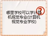 哪里学校可以学计算机视觉专业(计算机视觉专业学校)