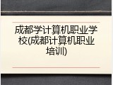 成都学计算机职业学校(成都计算机职业培训)