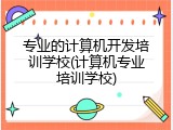 专业的计算机开发培训学校(计算机专业培训学校)