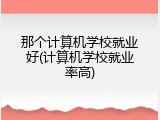 那个计算机学校就业好(计算机学校就业率高)