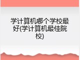 学计算机哪个学校最好(学计算机最佳院校)