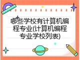 哪些学校有计算机编程专业(计算机编程专业学校列表)