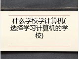 什么学校学计算机(选择学习计算机的学校)