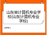 山东省计算机专业学校(山东计算机专业学校)
