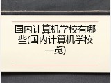 国内计算机学校有哪些(国内计算机学校一览)