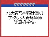 北大青鸟华腾计算机学校(北大青鸟华腾计算机学校)