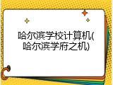 哈尔滨学校计算机(哈尔滨学府之机)