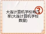 大连计算机学校有几家(大连计算机学校数量)
