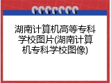 湖南计算机高等专科学校图片(湖南计算机专科学校图像)