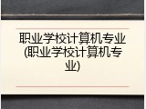 职业学校计算机专业(职业学校计算机专业)