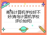 青鸟计算机学校好不好(青鸟计算机学校评价如何)