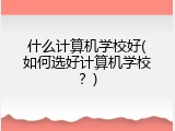 什么计算机学校好(如何选好计算机学校？)