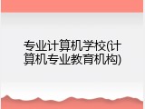 专业计算机学校(计算机专业教育机构)