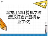 黑龙江省计算机学校(黑龙江省计算机专业学校)