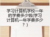 学习计算机学校一年的学费多少钱(学习计算机一年学费多少？)