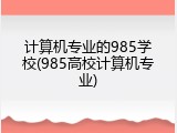 计算机专业的985学校(985高校计算机专业)