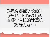 武汉有哪些学校的计算机专业比较好(武汉哪些高校的计算机教育优秀？)