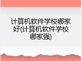 计算机软件学校哪家好(计算机软件学校哪家强)