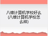 八维计算机学校好么(八维计算机学校怎么样)