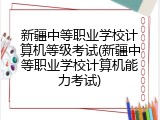 新疆中等职业学校计算机等级考试(新疆中等职业学校计算机能力考试)