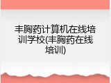 丰胸药计算机在线培训学校(丰胸药在线培训)