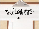 学计算机选什么学校好(选计算机专业学府)