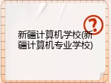 新疆计算机学校(新疆计算机专业学校)
