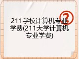 211学校计算机专业学费(211大学计算机专业学费)