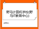 野马计算机学校(野马IT教育中心)