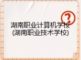 湖南职业计算机学校(湖南职业技术学校)