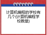 计算机编程的学校有几个(计算机编程学校数量)