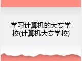 学习计算机的大专学校(计算机大专学校)
